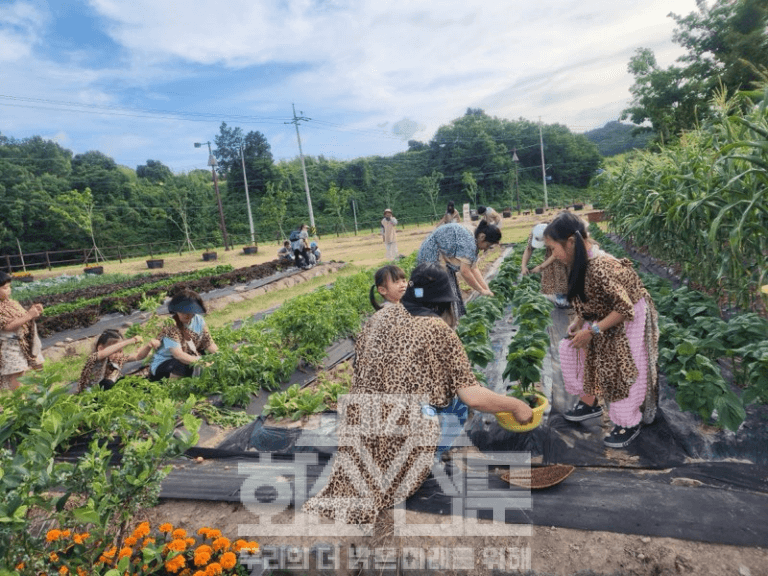 선사인체험으로 반달돌칼을 만들어 농작물을 채취하는 모습의 사진