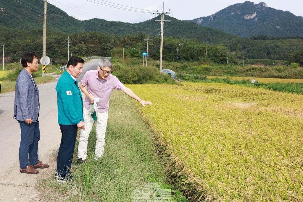 화순군의회 오형열 의장 벼멸구피해현장 방문 (춘양면,도암면)