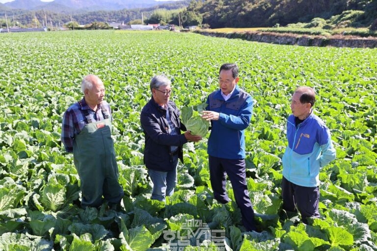 해남배추 생육상황 점검 생산농가 현장방문