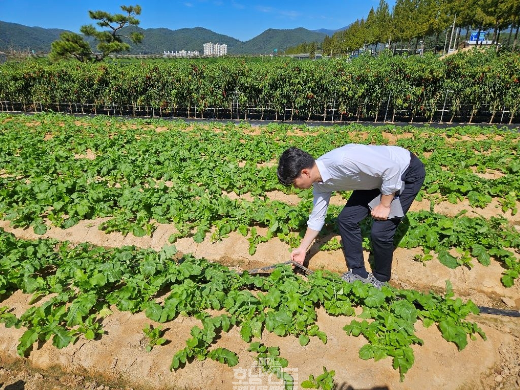 무 재배 농가 현장 기술 지원 관수 시설 점검