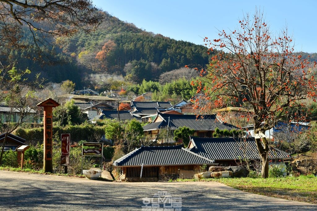 추천관광지 장성 금곡영화마을