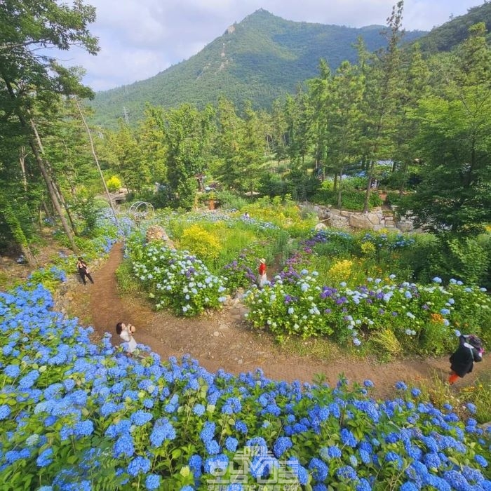 포레스트 수목원