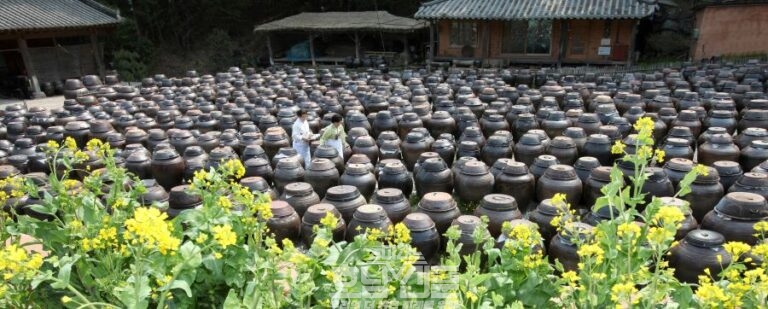 전통 장류- 장고(기순도 전통식품명인)